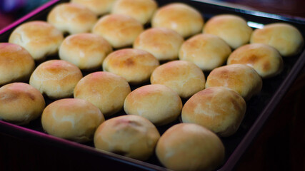 Homemade vegetable bun on isolated black background
