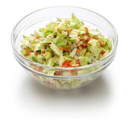 homemade coleslaw salad in bowl