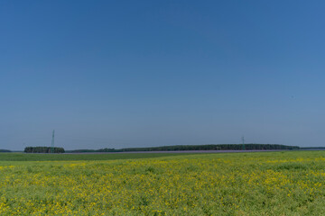 Beautiful views of the grain fields in the Polish countryside on a beautiful summer day.