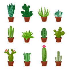 Set woestijn of kamer groene cactus. Platte en cartoonstijl. Vectorillustratie op witte achtergrond. Element voor uw ontwerp.