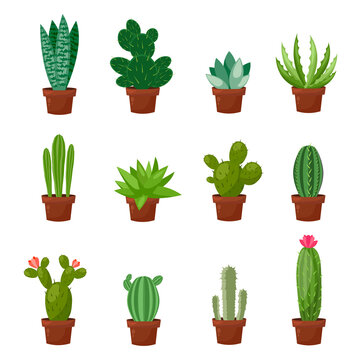 Set of desert or room green cactus. Flat and cartoon style. Vector illustration on white background. Element for your design.