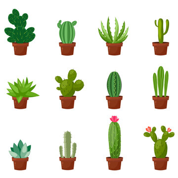 Set of desert or room green cactus. Flat and cartoon style. Vector illustration on white background. Element for your design.
