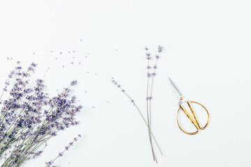 Fresh lavender flowers next to golden scissors