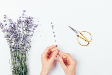 Female hands holding lavender branch near scissors