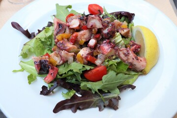 Salade de poulpe avec tomates cerises et salade verte dans une assiette blanche