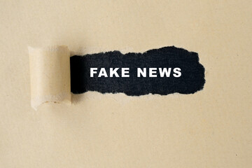 Fake news words on torn paper background.