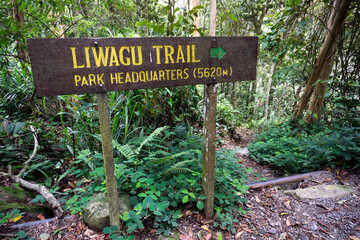 Liwagu trail in Kinabalu National Park, Sabah Borneo, Malaysia.