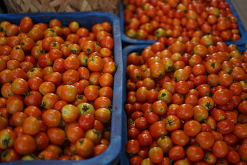 Naklejka na ściany i meble Fresh Red tomatoes for sale at traditional vegetables market