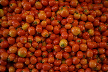 Fresh Red tomatoes for sale at traditional vegetables market