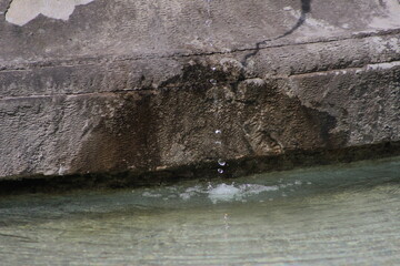 Lainzer Tiergarten, Wasserspiele, Tiere, Landschaft
