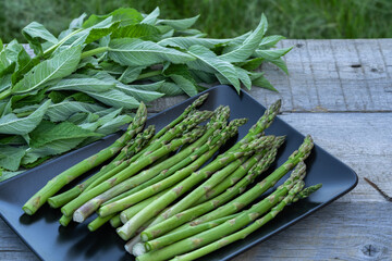 Fresh green asparagus spears on wooden table outdoor.