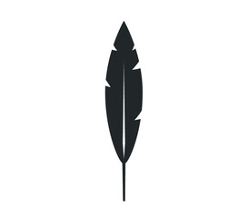 Feather icon. Feather vector. Bird Feather design.  