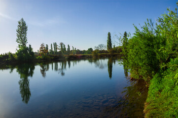paisajes naturaleza  campo flores  pastizales bobinos   volcanes  rio Chile Sudamerica cascada arboles