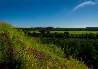 Obraz premium paisajes naturaleza campo flores pastizales bobinos volcanes rio Chile Sudamerica cascada arboles