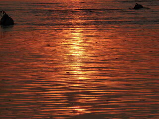 Couch&eacute; de soleil