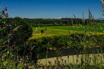 paisajes naturaleza  campo flores  pastizales bobinos   volcanes  rio Chile Sudamerica cascada arboles