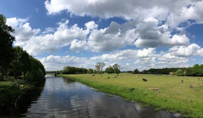 Panorama from cows in the meadow around Ommen