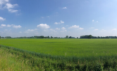 Farmland around Gramsbergen