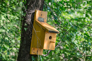 Wooden birdhouse in the tree on the wood. To take of our smaller brothers
