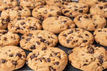 Сhocolate chip cookies close-up on a uniform background