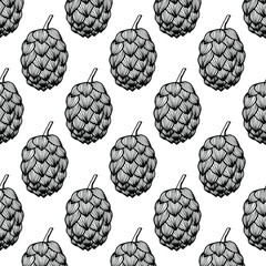 Seamless pattern with hop of beer on white background. Vector hand drawn illustration in engraving style. Good for fabric print, wrapping paper, wallpapers, cards.