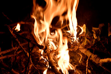 Fototapeta premium fire, flame, heat, firewood, burn, fireplace, hot, bonfire, flame, bonfire, burning, red, orange, warm, camp, night, light, camping, coal, black, yellow, barbecue, flame, danger, coal, firewood, smoke