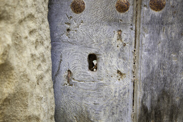 Old wooden door with lock