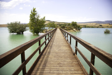 Bridge in swamp