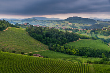 Fototapeta na wymiar Oltrepo' Pavese landscape hills with wineyards and country roads and Montalto Pavese castle in the background in a cloudy day