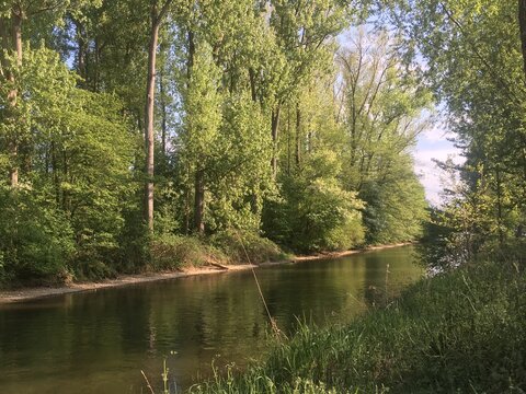 Aach Idylle