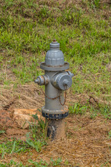 Fototapeta na wymiar Fire hydrant outdoors in grass