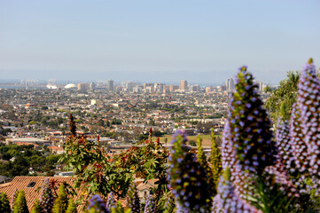 A panoramic city view of Long Beach, California from on top of Signal Hill on a day when the fog has cleared all he way to the ocean. 