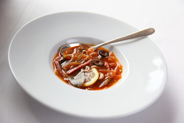 Meat solyanka Russian soup