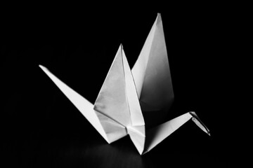 Origami bird in contrast light
