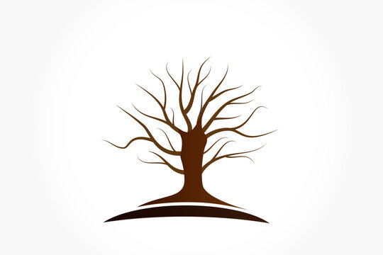 Tree trunk logo vector image