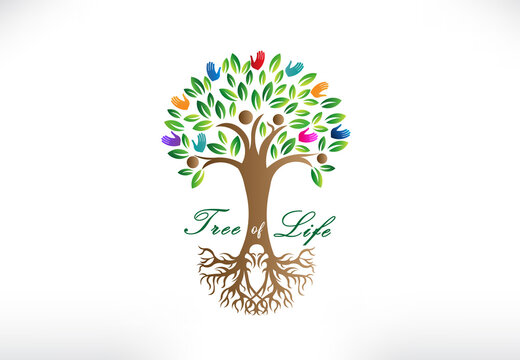 Tree logo symbol of life people hands icon vector image