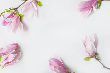 Beautiful frame of pink magnolia flowers on white background. Space for text