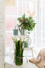 spring flowers on windowsill.House plants near window. cozy,Comfortable place for rest with cup of tea and books near window. Home interior in soft tone.watering can