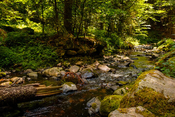 The Ravenna a wild small river in the woods of the High Black Forest flows down between the rocks near Breitnau in summer. Baden-Württemberg southwest Germany