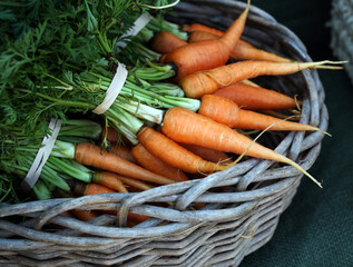 Farmers market: carrots