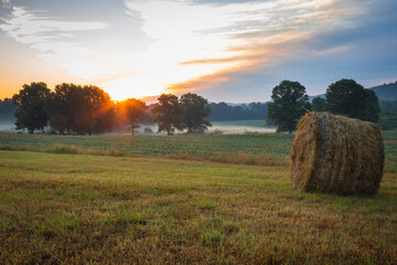 Fototapeta premium Hay bales rolled on field at sunrise with fog creates amazing sky in early summer Sussex County NJ 