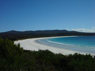 Tropical paradise beach with white sand in Tasmania