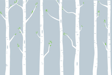 woods of birch trees with green leaves illustration