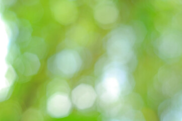 green bokeh abstract background used to make cards for the new year festival on valentines day, birthday, poster, christmas