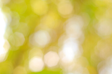 green bokeh abstract background used to make cards for the new year festival on valentines day, birthday, poster, christmas
