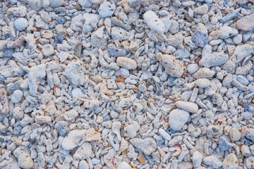 Small seashells, stones on the sea beach as background and texture.Porous structure of stone background.. Limestone texture close up.Background for design.travel concept