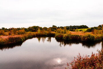 Fototapeta na wymiar Autumn forest lake trees landscape. Beautiful nature autumn background.