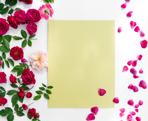 Flowers composition. Rose flowers on white background. Flat lay, top view