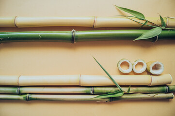 flower arrangement. bamboo stems and leaves on an orange background. Flatley, a concept of summer and heat