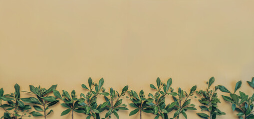 Summer composition. Green leaves on pastel orange background. Summer concept. Flat lay, top view, copy space